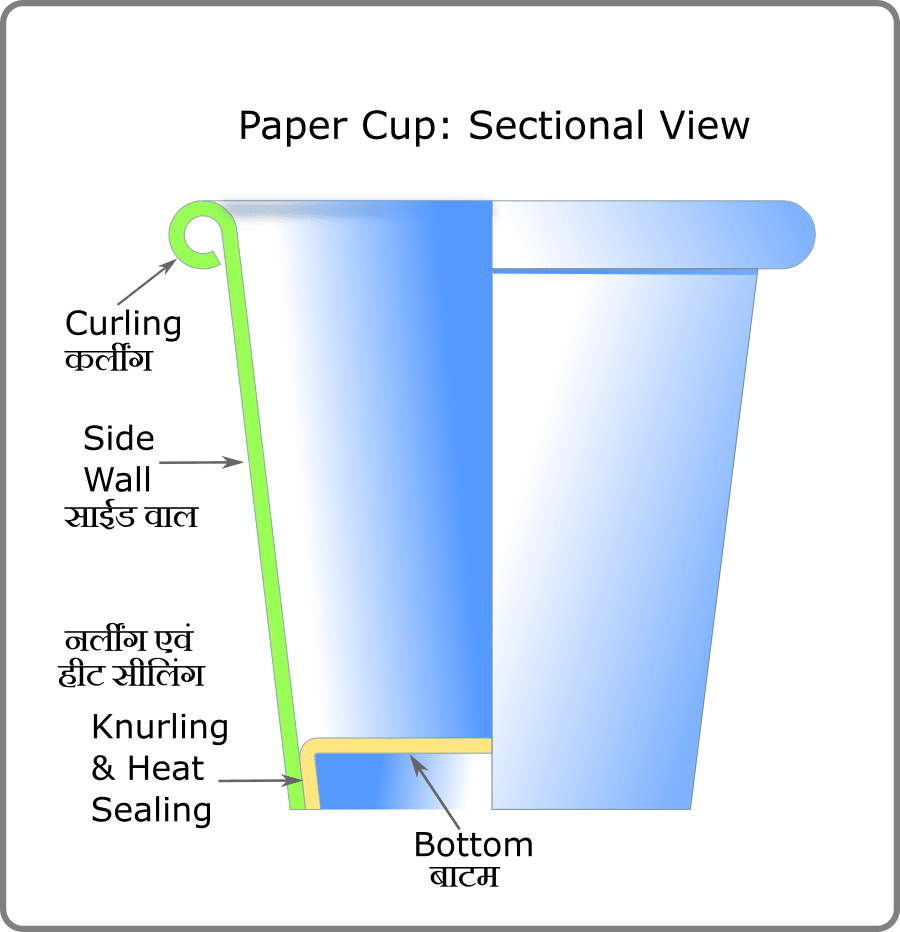 Sectional view of Paper Cup